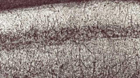Shedding new light on nerve cell growth