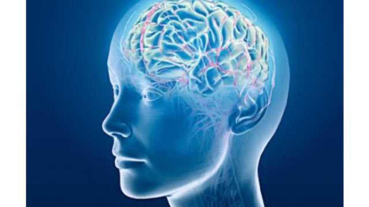 New knowledge about the BBB, the brain's effective bouncer