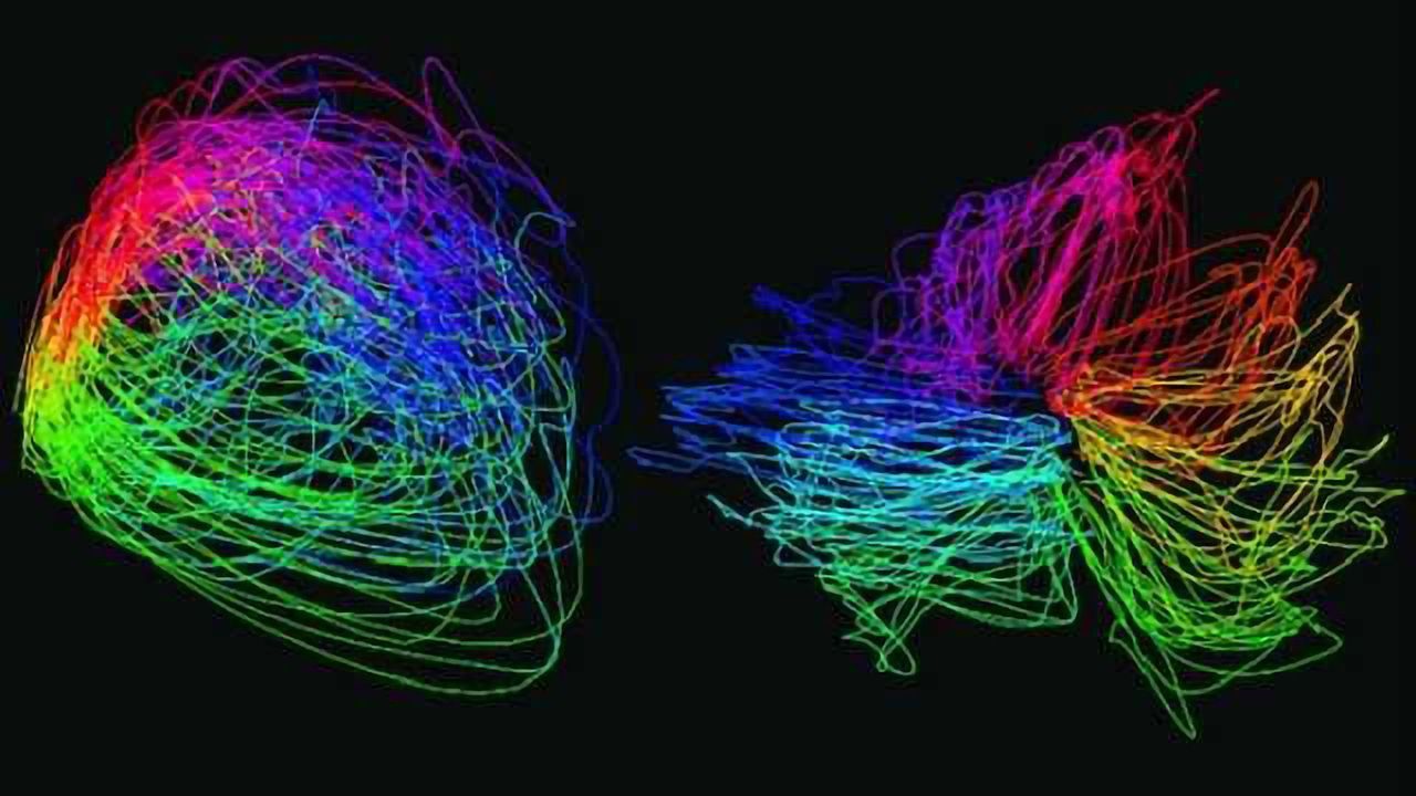 New tools help neuroscientists analyze big data