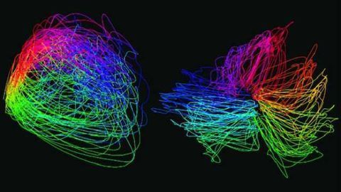 New tools help neuroscientists analyze big data