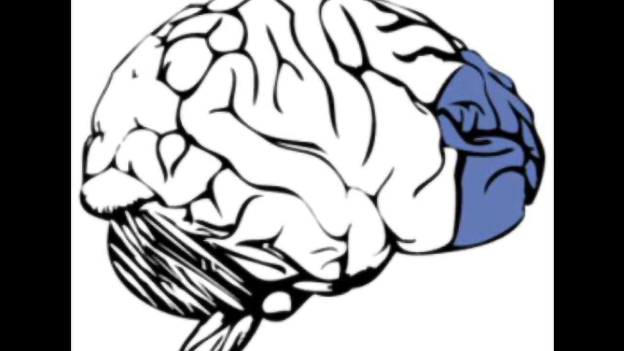 A new brainbased marker of stress susceptibility Technology Networks