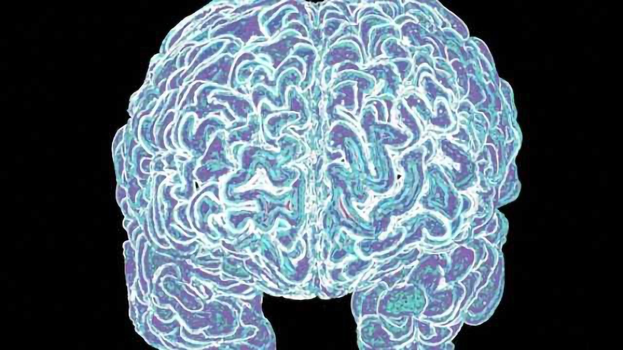 The social origins of intelligence in the brain