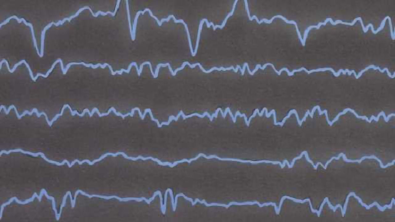 EEG study findings reveal how fear is processed in the brain