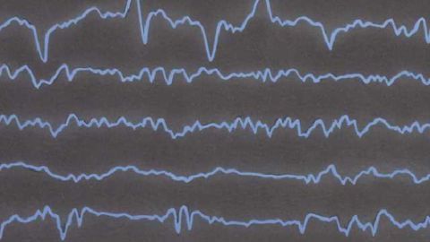 EEG study findings reveal how fear is processed in the brain