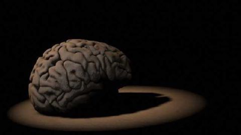 Protein that causes frontotemporal dementia also implicated in Alzheimer's disease