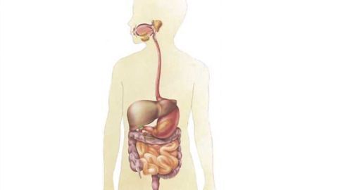 Link found between depression and abnormal brain response to visceral pain in patients with IBS