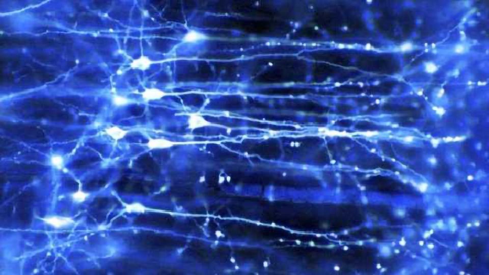 Schizophrenia, bipolar disorder associated with dendritic spine loss in brain content piece image