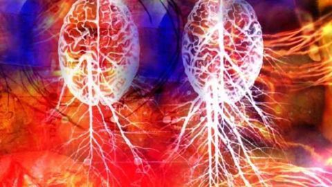Stroke-Fighting Drug Offers Potential Traumatic Brain Injury Treatment