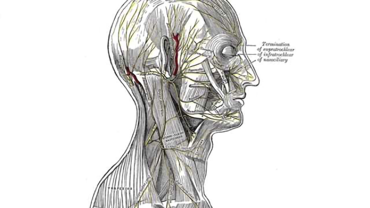 Common anesthetic procedure dramatically improves well being of veterans with PTSD