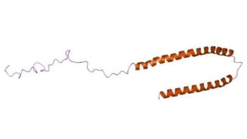 Disputed theory on Parkinson's origin strengthened