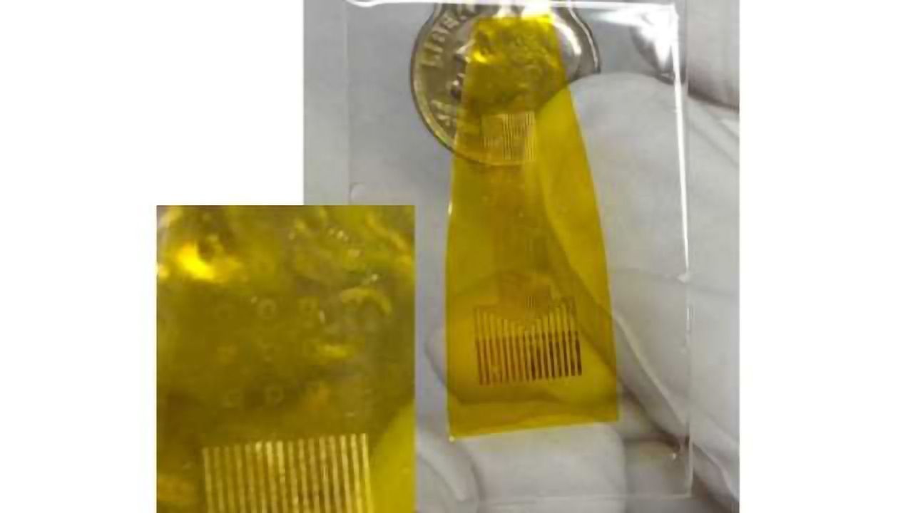 See-through, one-atom-thick, carbon electrodes are a powerful tool for studying epilepsy, other brain disorders, study finds