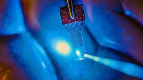 See-through sensors open new window into the brain