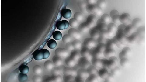 Synapses always on the starting blocks