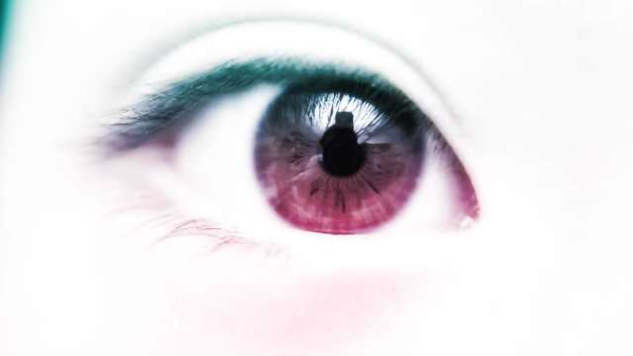 Whites of their eyes: Study finds infants respond to social cues from sclera
