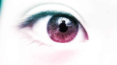 Whites of their eyes: Study finds infants respond to social cues from sclera