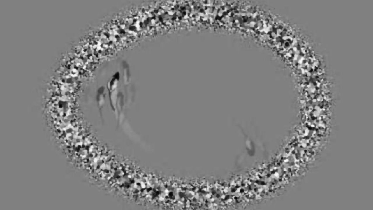 Brain navigation can occur without external cues