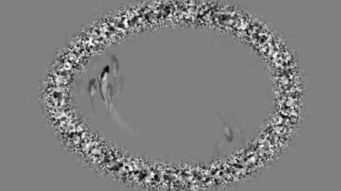 Brain navigation can occur without external cues