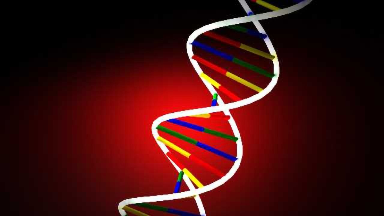 Changes in a single gene’s action can control addiction- and depression-related behaviors