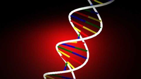 Changes in a single gene’s action can control addiction- and depression-related behaviors