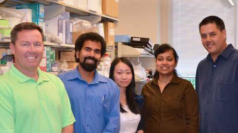 Scripps Florida Scientists Unveil New Targets and Test to Develop Treatments for Memory Disorders