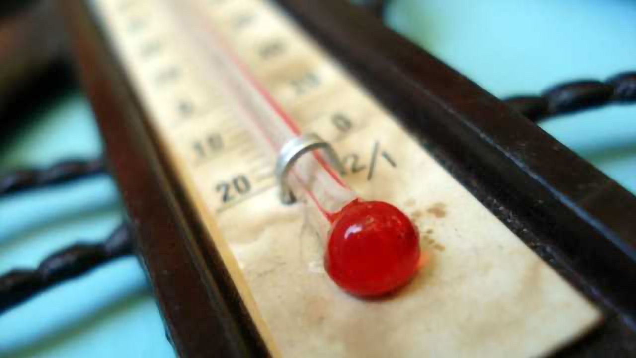 Cold-induced pain linked to the garlic and mustard receptor