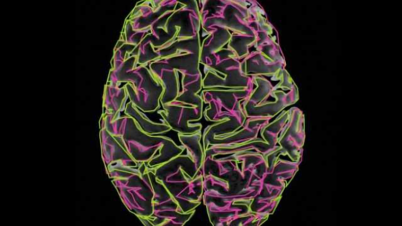Mechanisms behind 'Mexican waves' in the brain are revealed by scientists