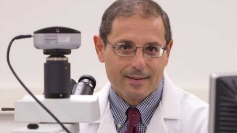 Study finds brain receptor cell could be new target for Alzheimer’s