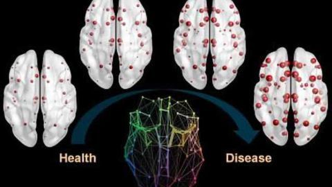 Epidemic spreading and neurodegenerative progression