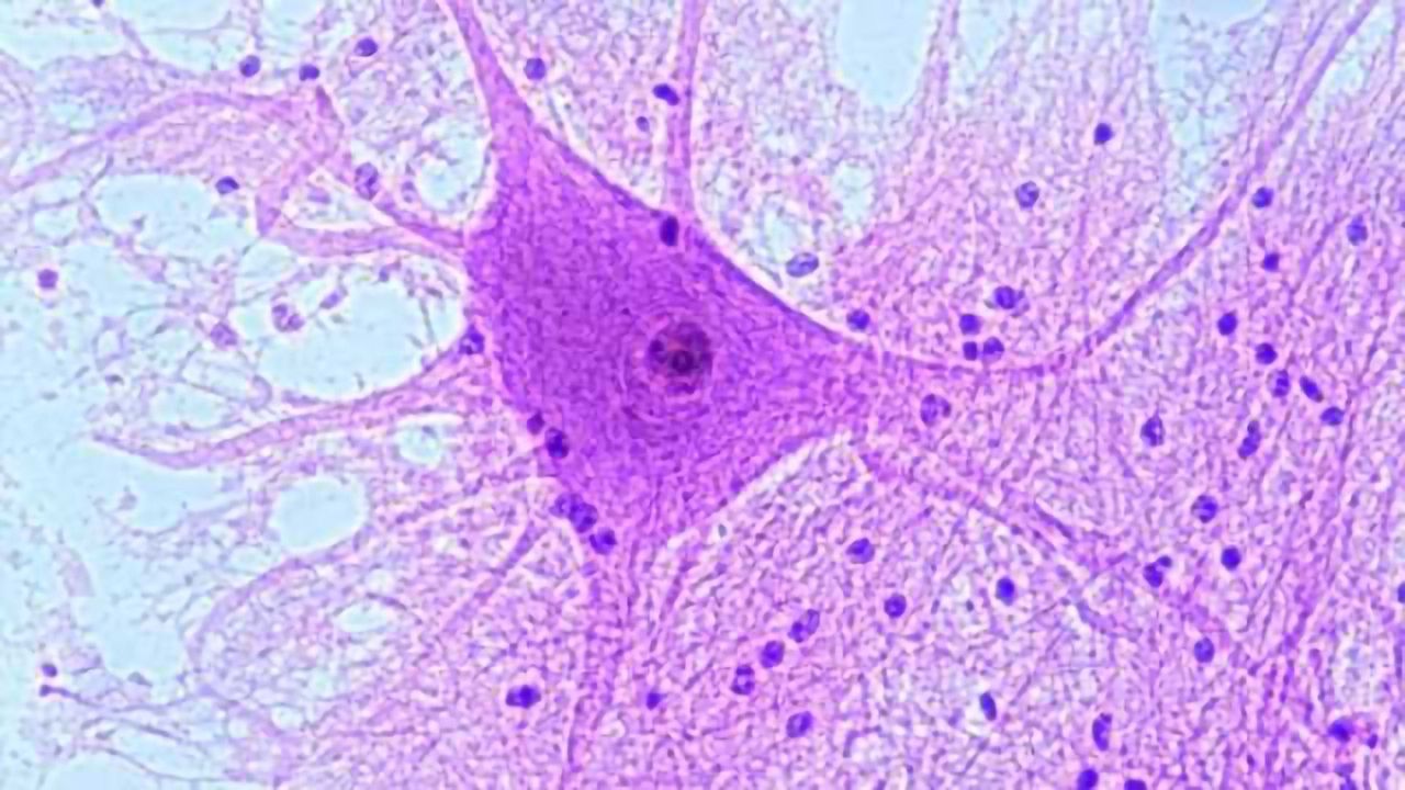 New approach for treating ALS: Re-evaluating old drugs