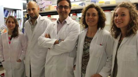 Brain injuries in mice treated using bone marrow stem cells, antioxidants