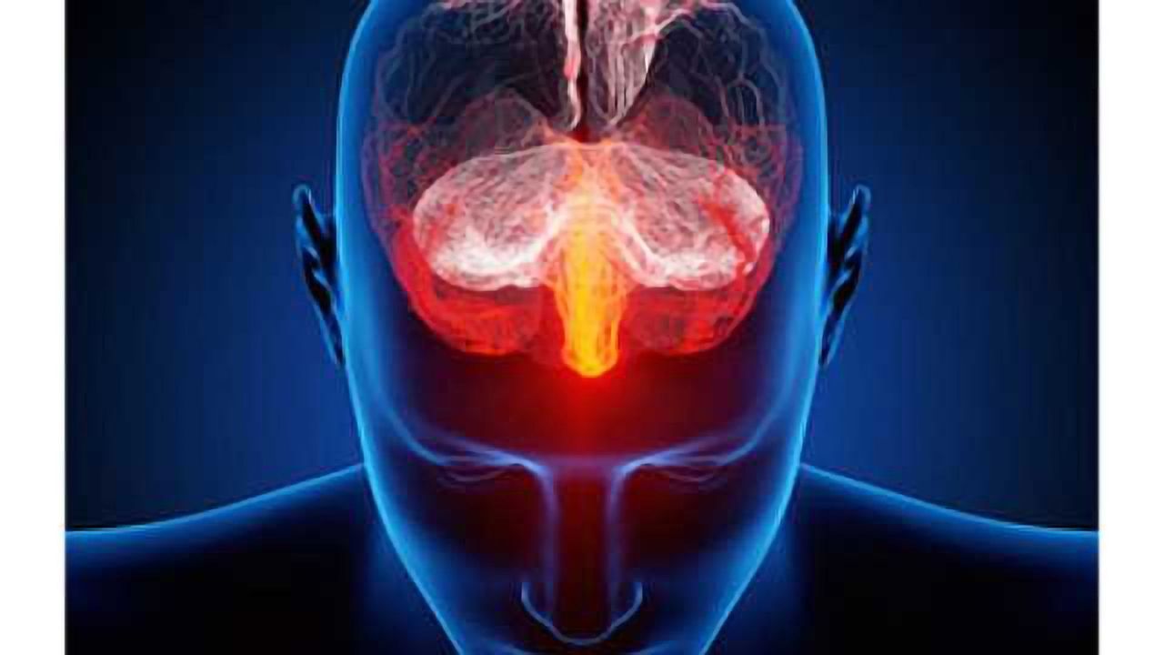 'Trigger' for stress processes discovered in brain