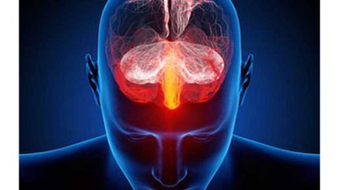 'Trigger' for stress processes discovered in brain