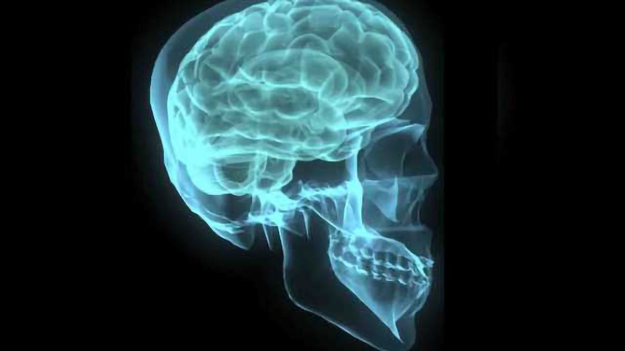 Prehistoric conflict hastened human brain's capacity for collaboration, study says