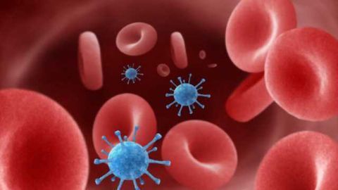 Nervous system may play bigger role in infections than previously known