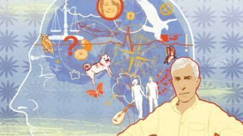 Impact of traumatic brain injury on long-term memory explored