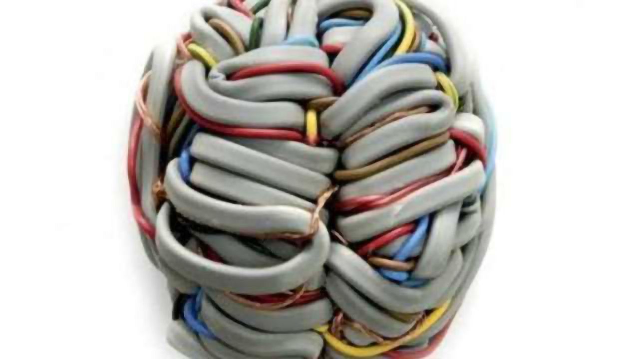 Brain network that gives humans superior reasoning skills detected