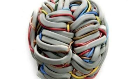 Brain network that gives humans superior reasoning skills detected