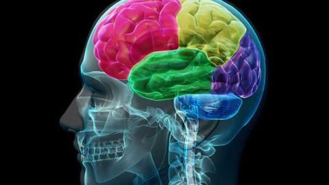 Perspective on salience processing