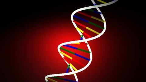 Study shows more patients with ALS have genetic origin than previously thought