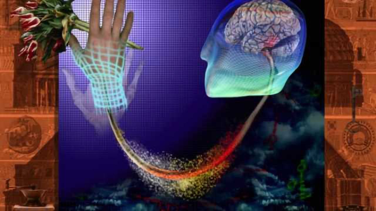 Paying attention makes touch-sensing brain cells fire rapidly and in sync