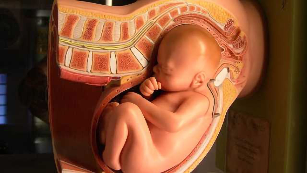 Prenatal exposure to common household chemicals linked with substantial drop in child IQ