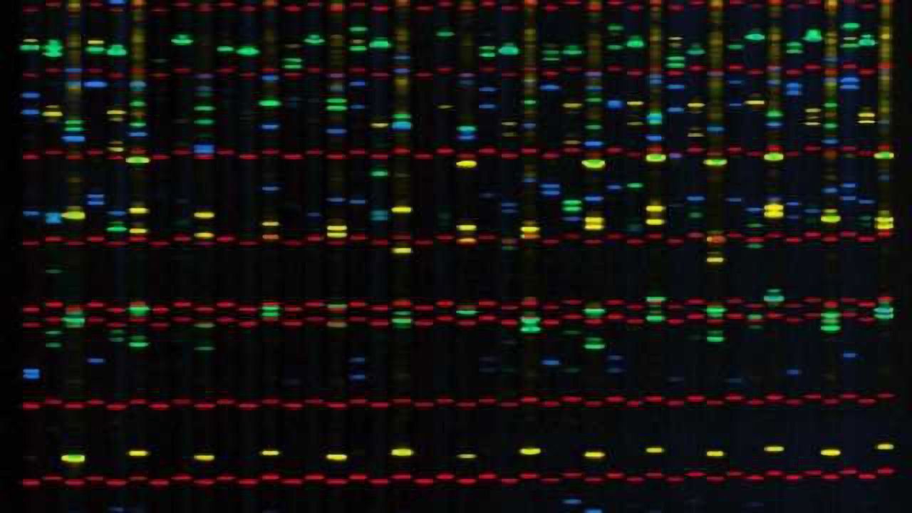 Are you genetically predisposed to antisocial behaviour?