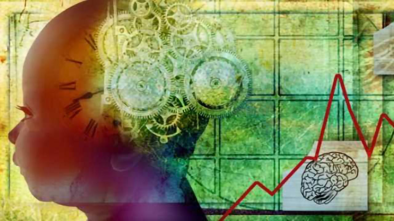 Cracking the code of brain development