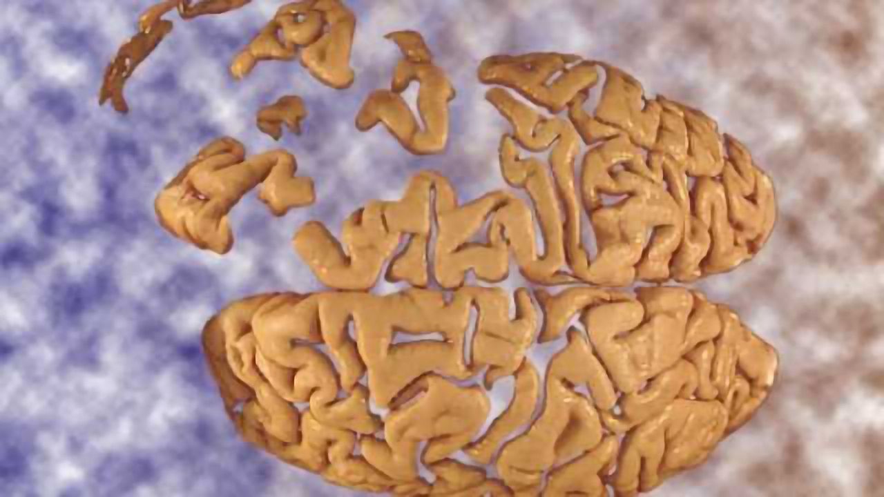 Unpacking brain damage in ALS