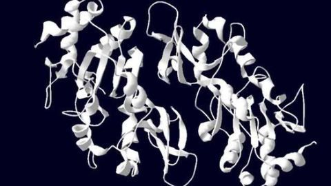 The cause of prostate cancer may be linked to Parkinson’s disease through a common enzyme