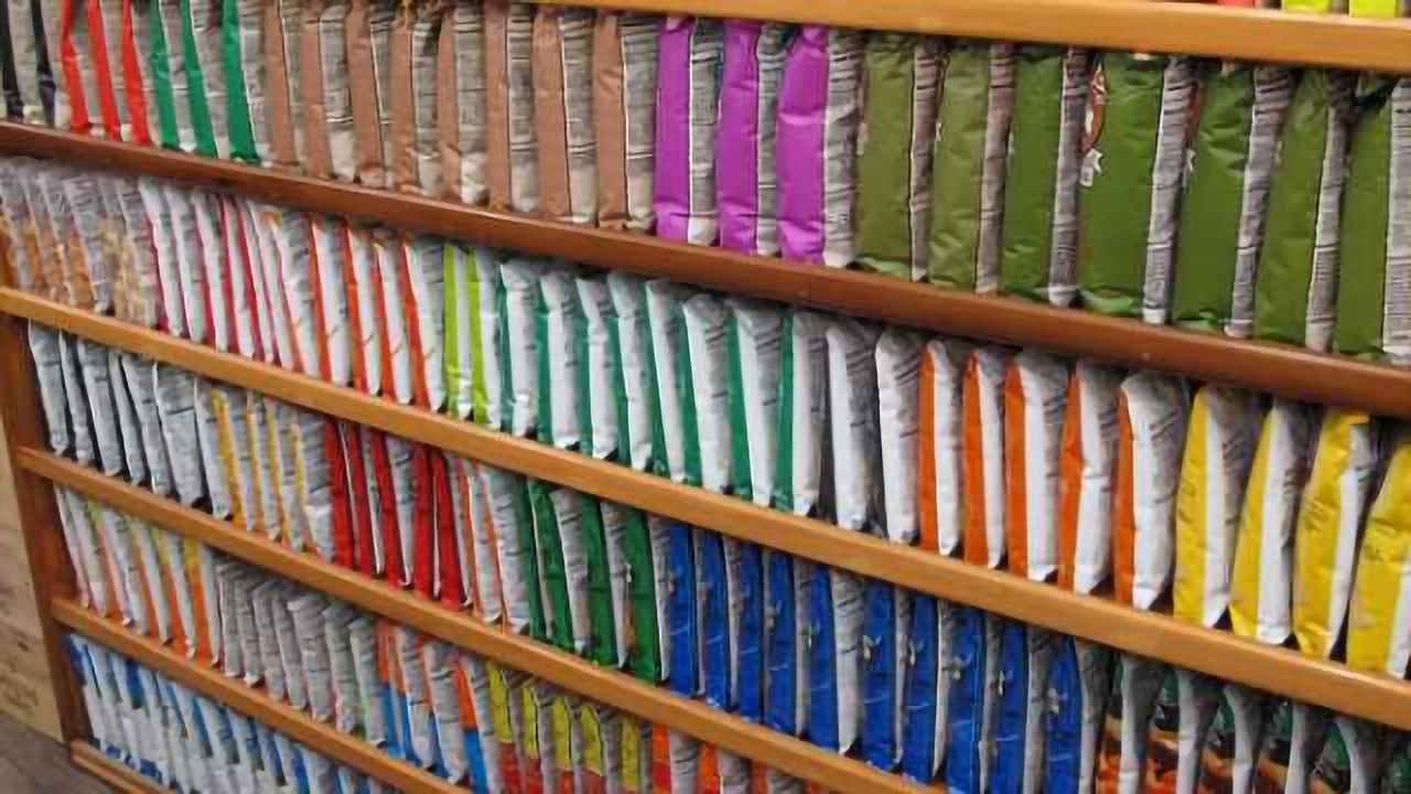 OCD patients' brains light up to reveal how compulsive habits develop