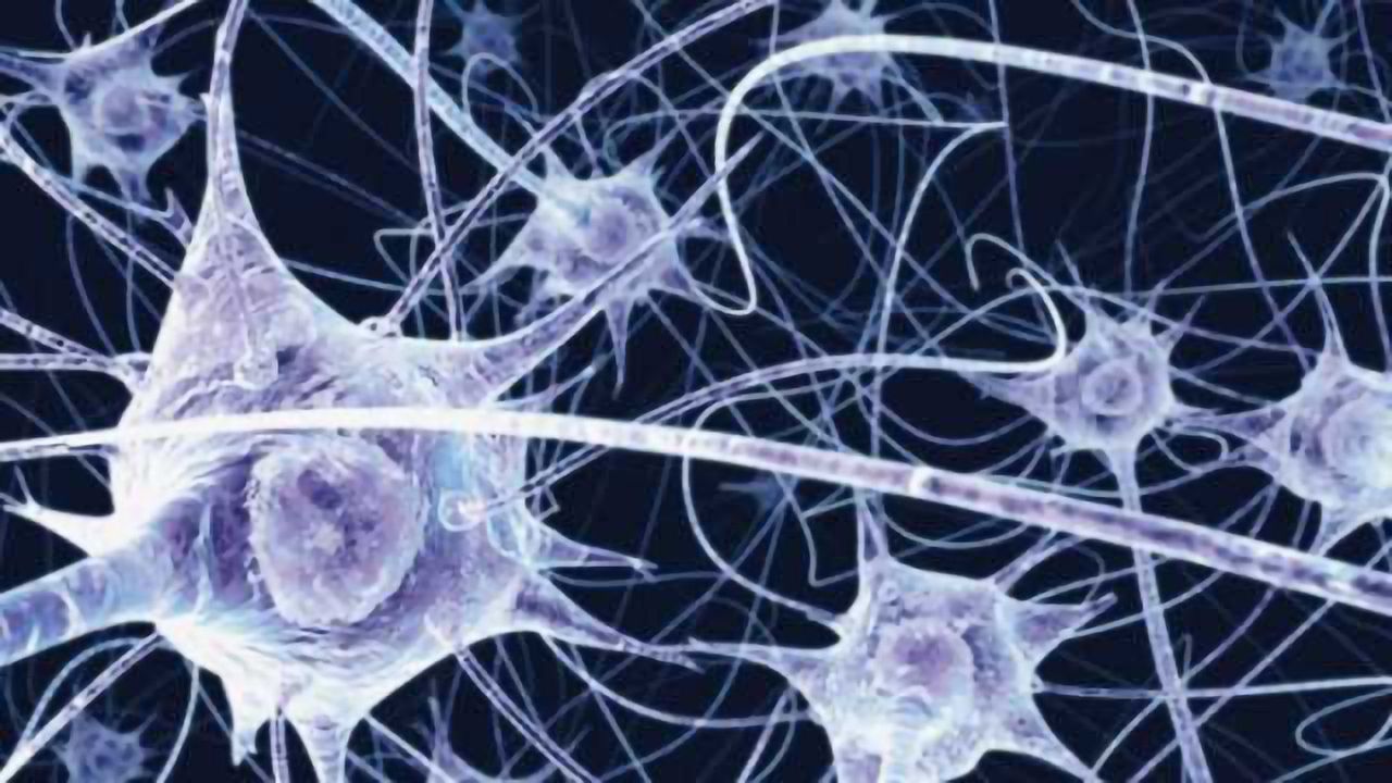 Lost memories might be able to be restored, study indicates