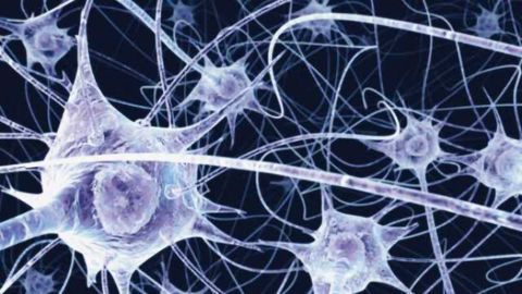 Lost memories might be able to be restored, study indicates