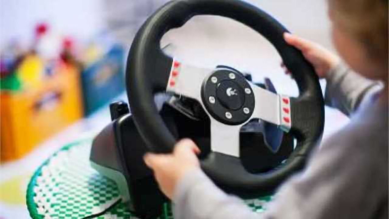 Innate Behavior Determines How We Steer Our Car