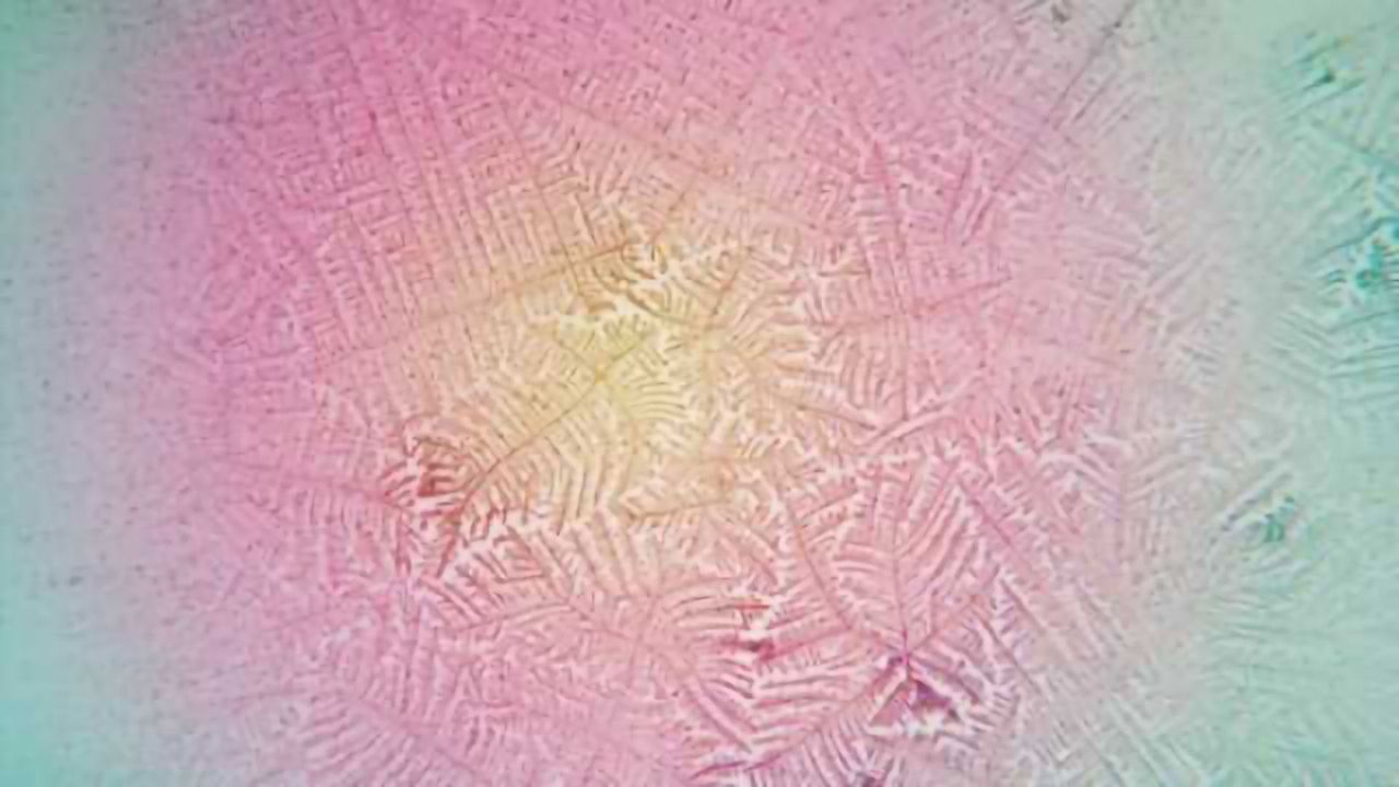 More efficient, sensitive estrogen detection developed
